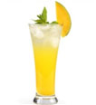 The Mango Mojito The Mango Mojito